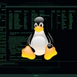 Linux